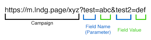 text showing a URL reading https://m.lndg.page/xyz?test=abc&test2=def - the https://m.lndg.page/xyz is labeled Campaign, the test and test2 are labeled Field Name (Parameters), and the abc and def are labeled Field Value